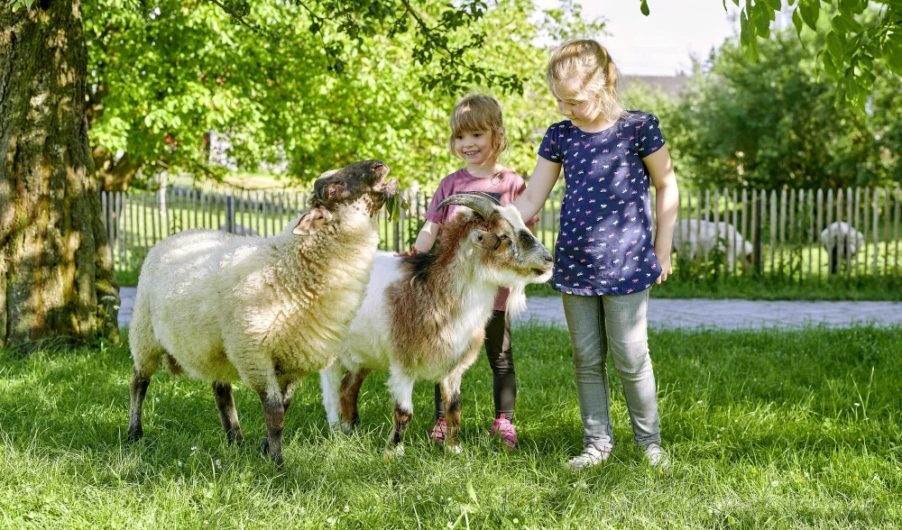 Klettern und spielen auf weichem Heu