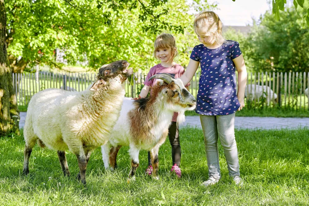 Klettern und spielen auf weichem Heu