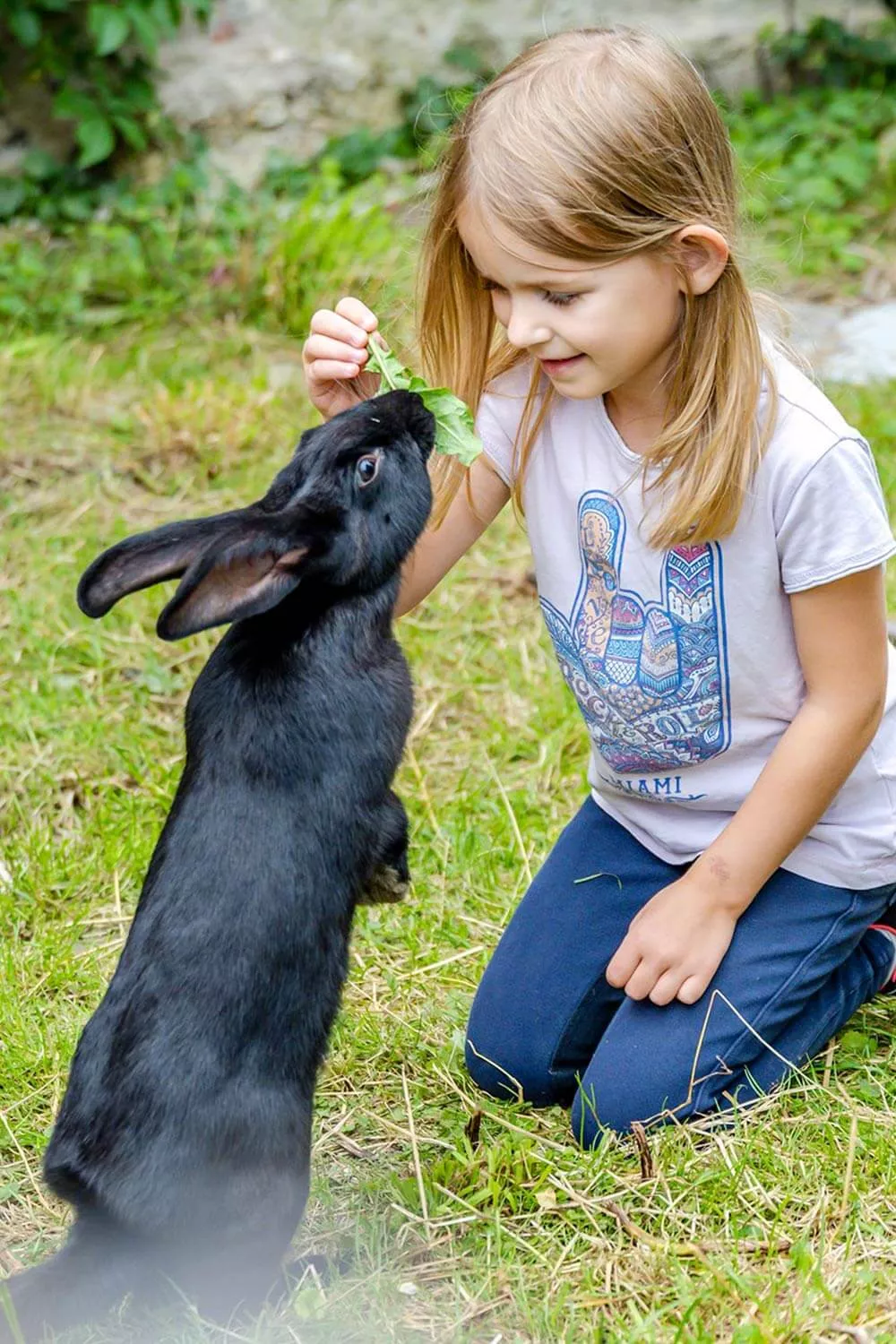 Eier einsammeln im Urlaub auf dem Bauernhof Punkte sammeln fürs Stalldiplom