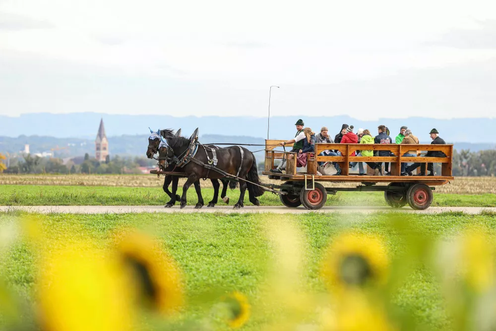 Urlaubserlebnisse für Kinder mit Bauernhoftieren