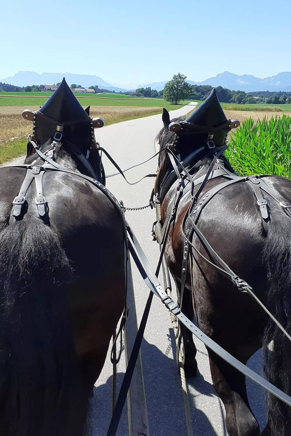Gemütlich die Landschaft entdecken