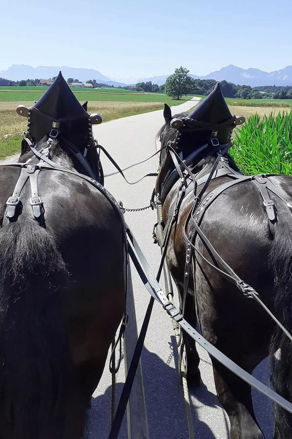 Gemütlich die Landschaft entdecken