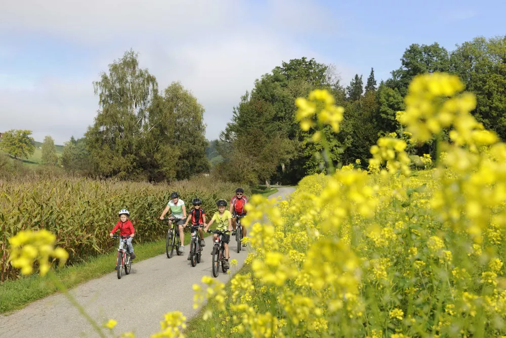 Abwechslungsreiche Radwege in herrlicher Landschaft