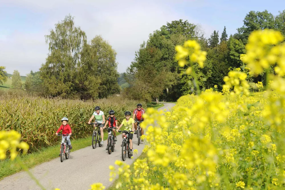 Abwechslungsreiche Radwege in herrlicher Landschaft