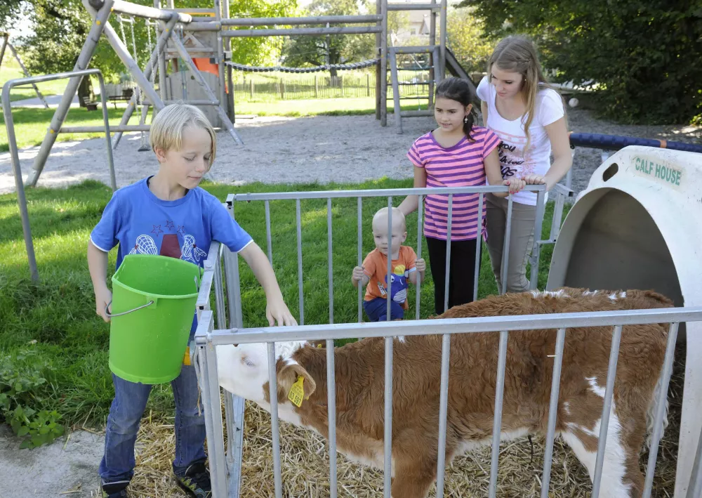 Stalldiplom erhalten am Thomahof Eizing