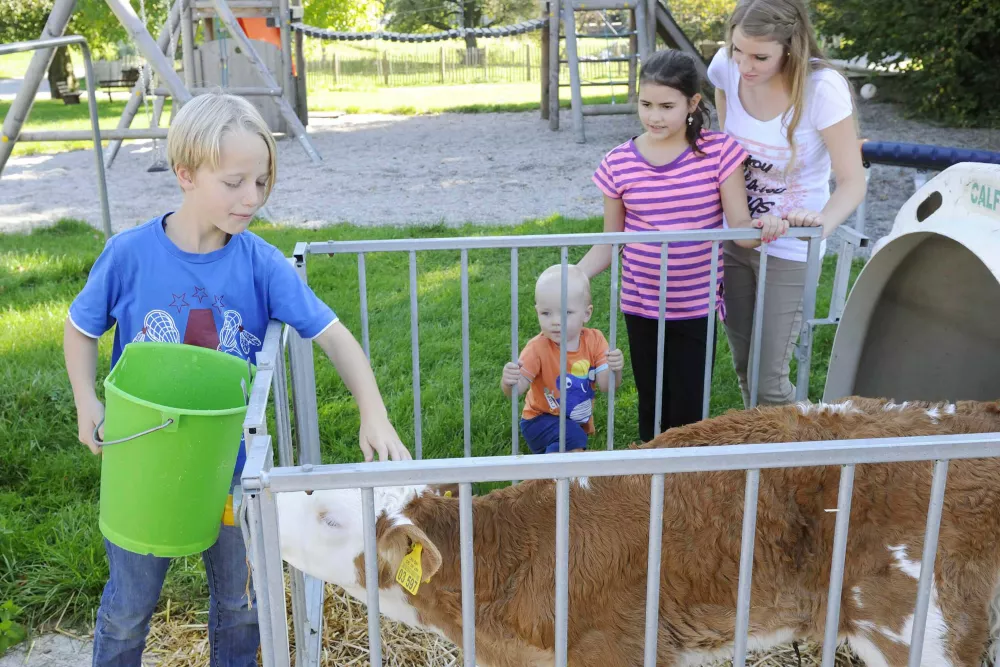 Stalldiplom erhalten am Thomahof Eizing