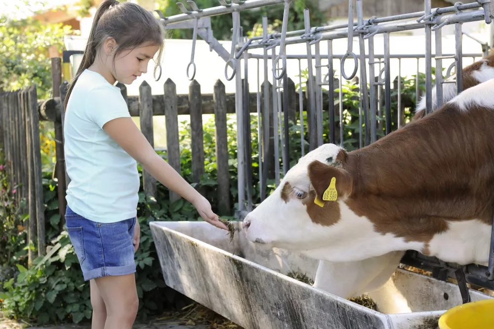Mithelfen erlaubt bei der Hofarbeit am Thomahof