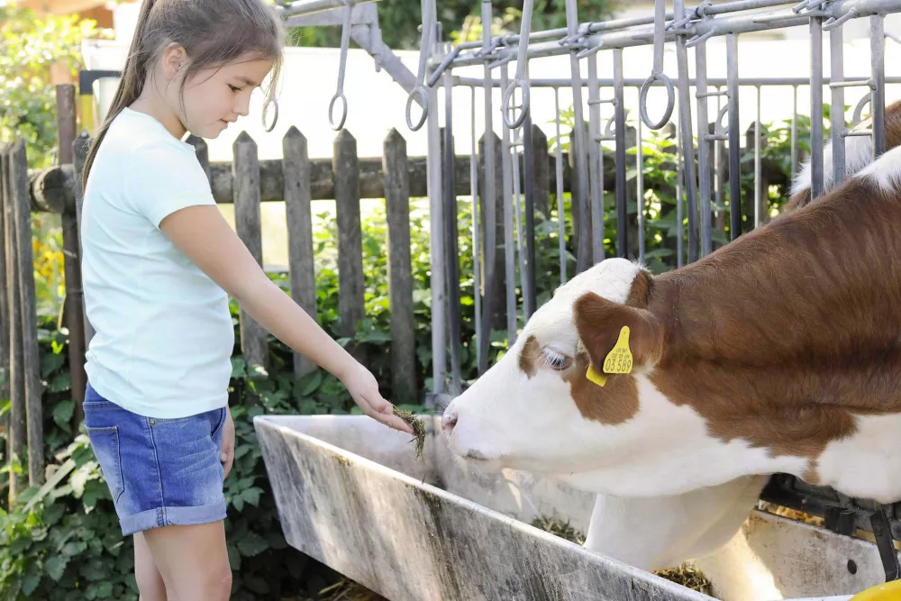 Mithelfen erlaubt bei der Hofarbeit am Thomahof
