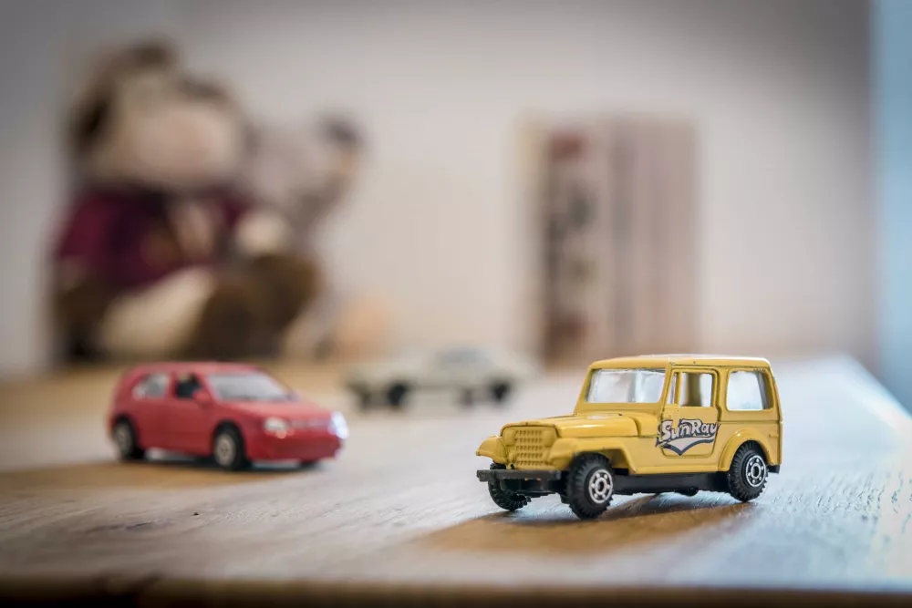 Kino-Abend direkt auf dem Bauernhof