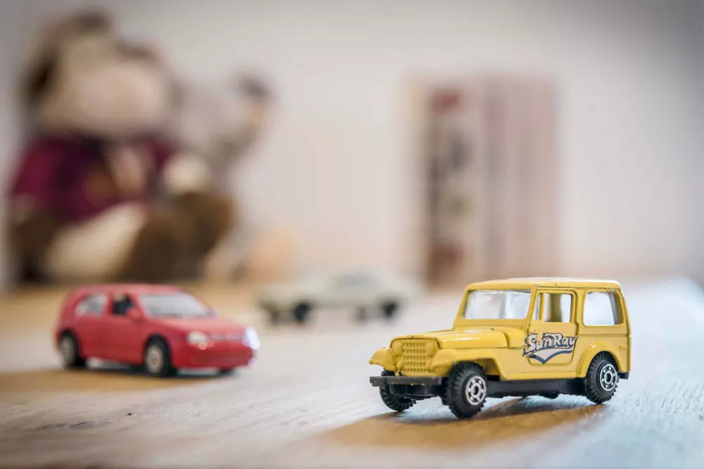 Kino-Abend direkt auf dem Bauernhof