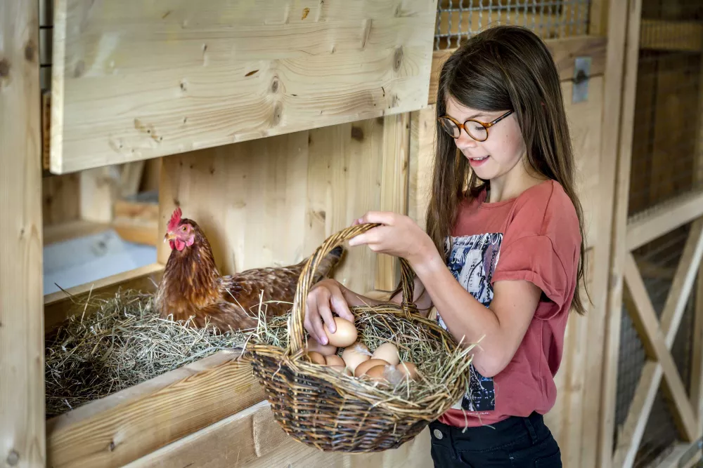Tiererlebnisse am Thomahof Oberbayern