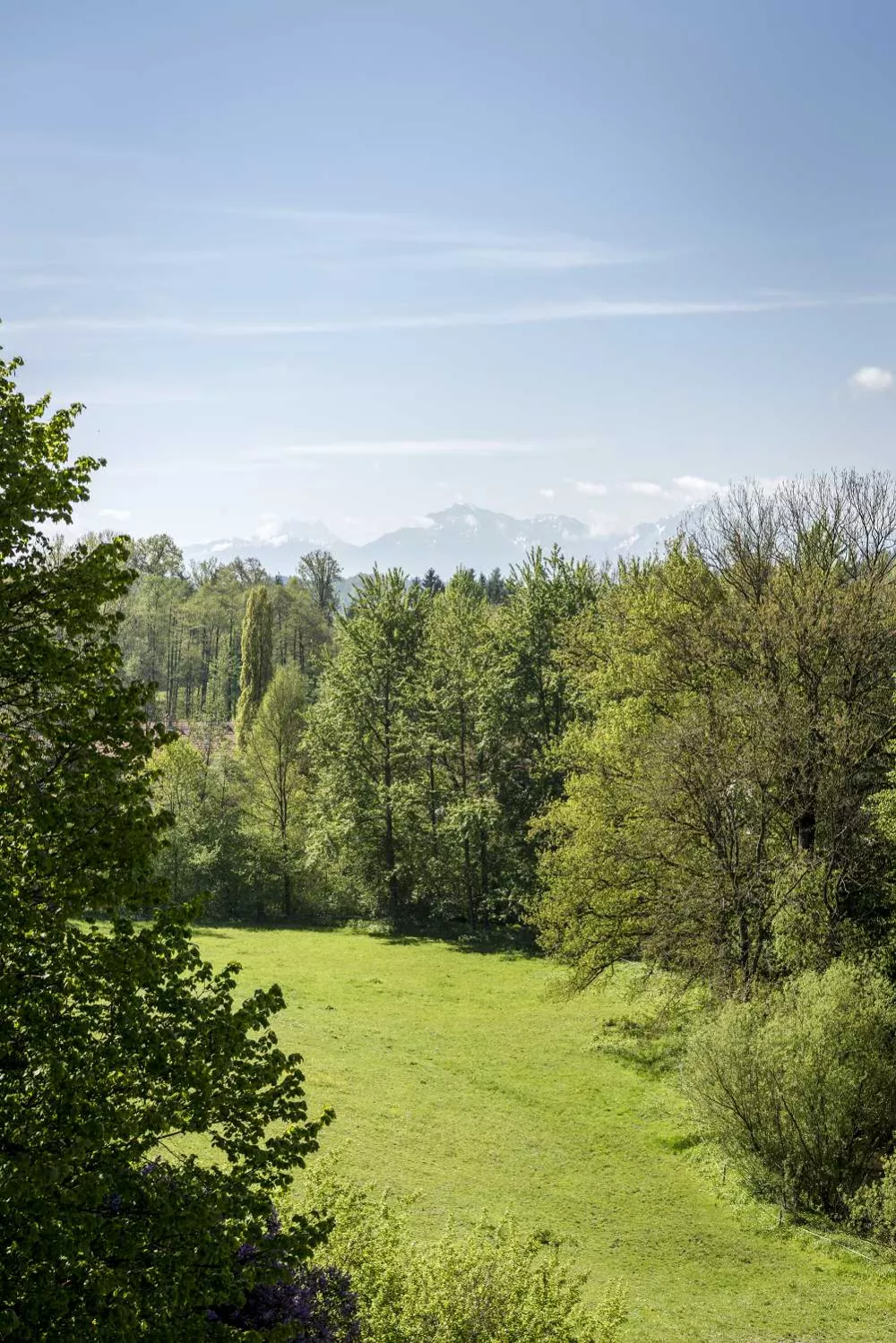 Wälder Wiesen Felder rund um den Thomahof