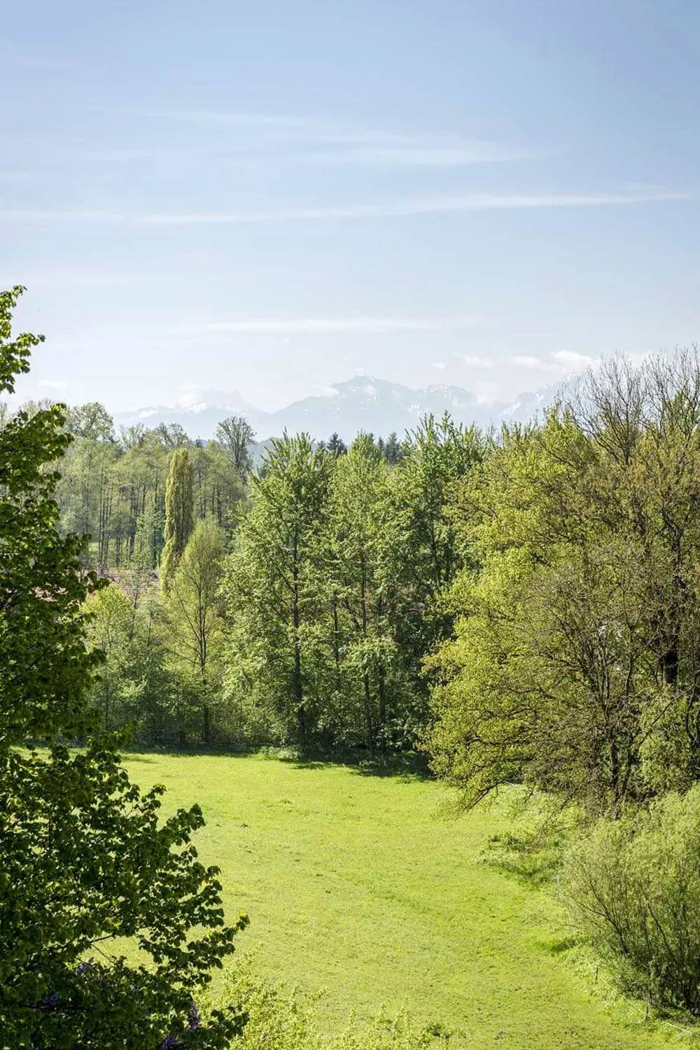 Wälder Wiesen Felder rund um den Thomahof
