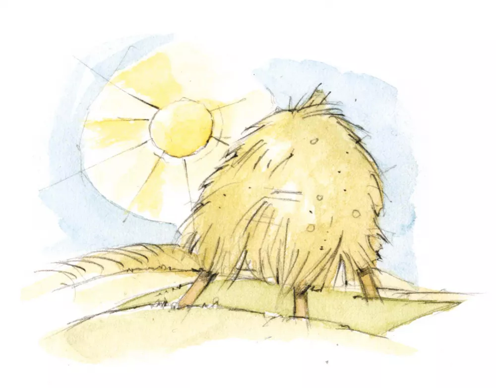 Spielscheune mit Heuburg am Thomahof