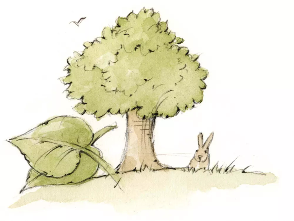 Im Grünen die Seele baumeln lassen