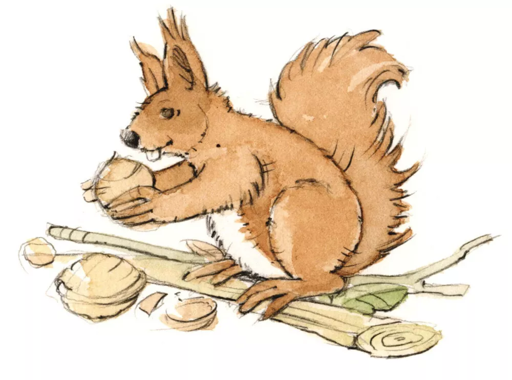 Ferienparadies Thomahof Luxus Ferienwohnung Nussbaum