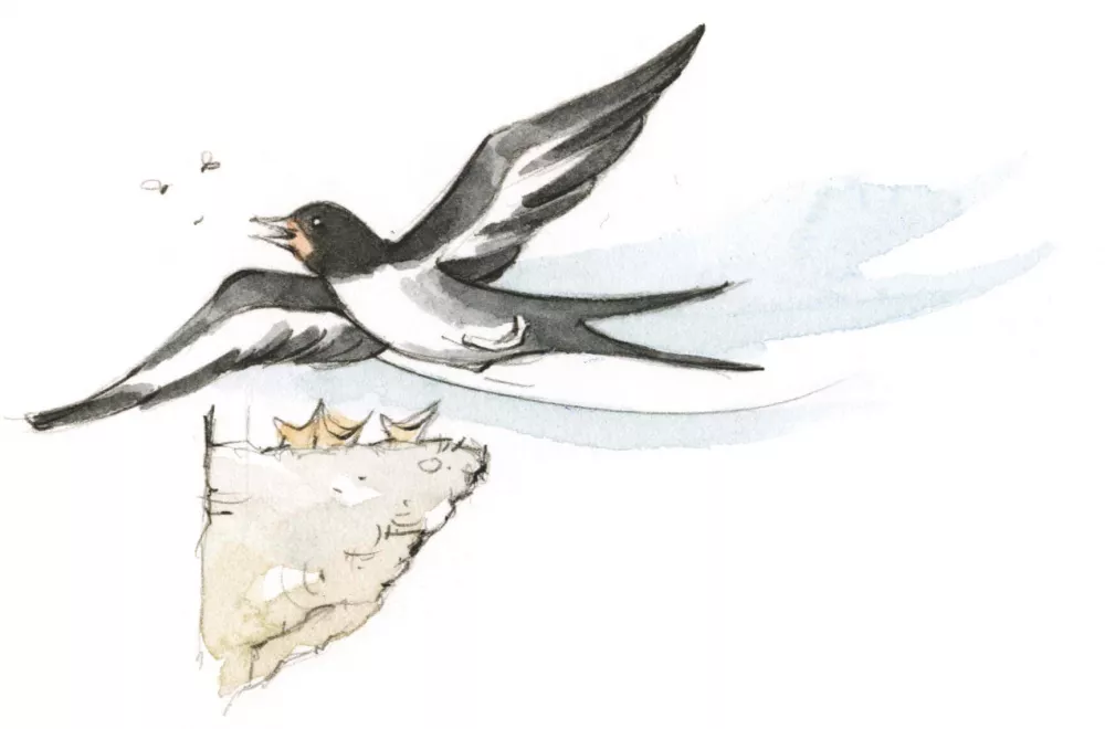 Ferienerlebnis auf dem Bauernhof Luxus Ferienwohnung Schwalbennest