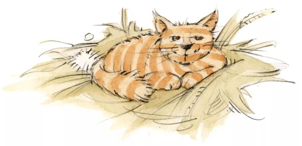 Luxus Ferienwohnung Tenne