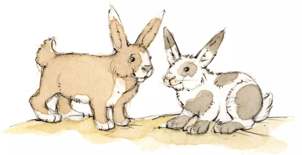 Streichelzoo am Thomahof