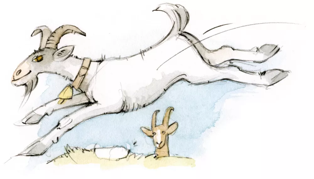 Tierfreundschaften am Thomahof