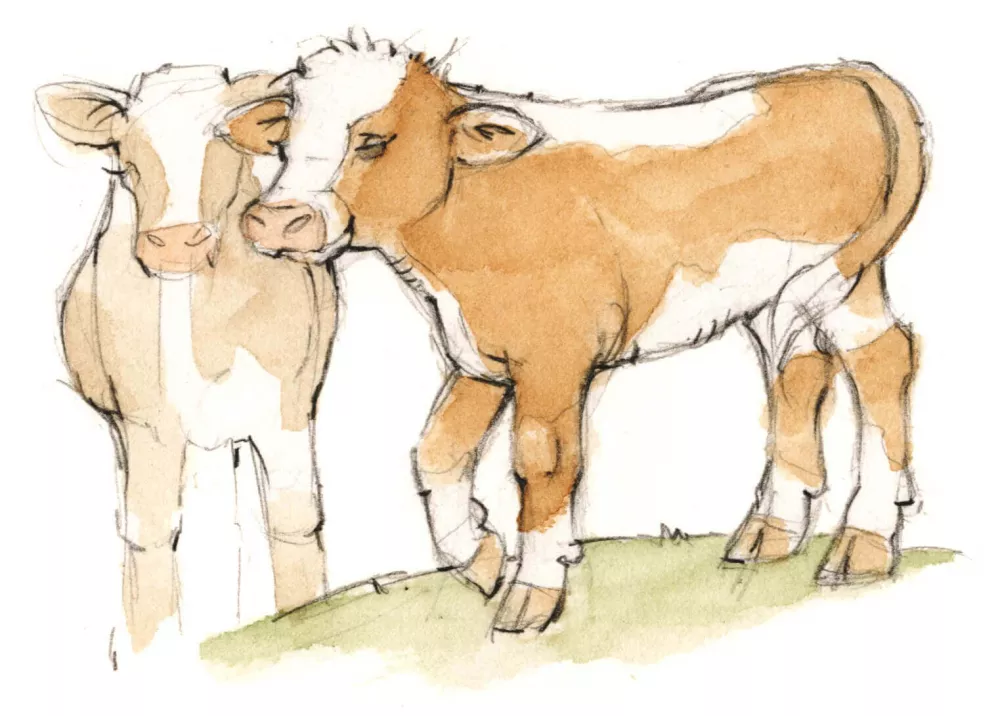 Blauer Gockel Urlaub Oberbayern