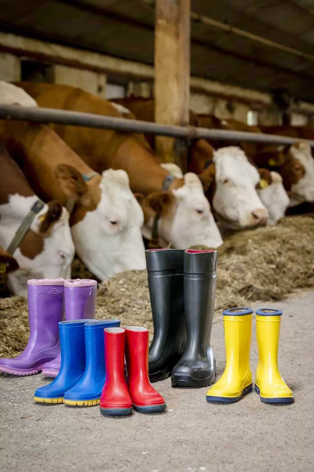 Nachhaltig und bequem im Urlaub mobil sein