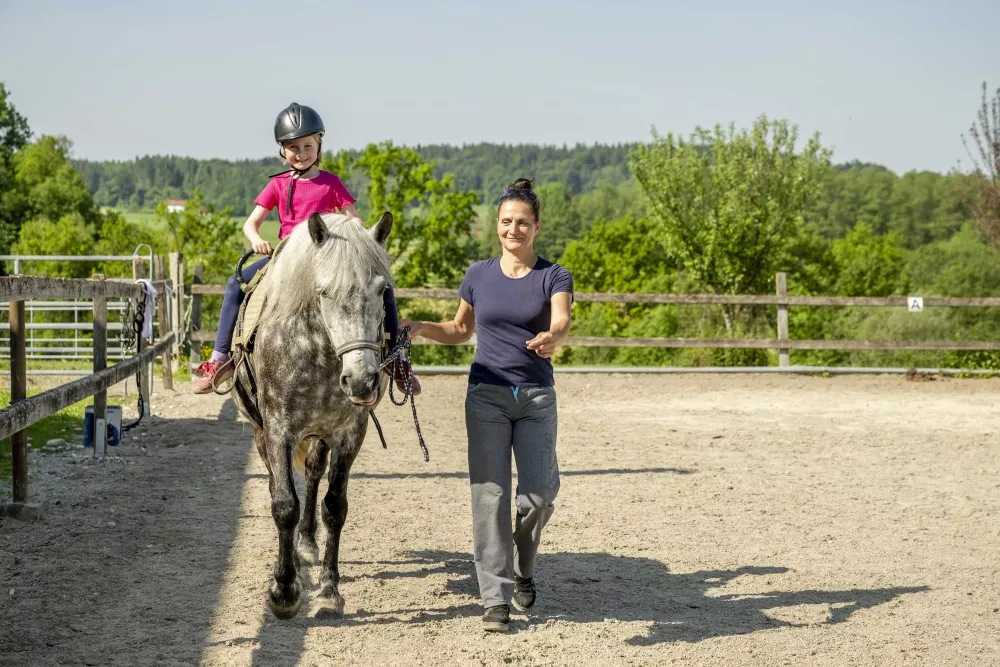 Pferde und Ponys streicheln, füttern, reiten
