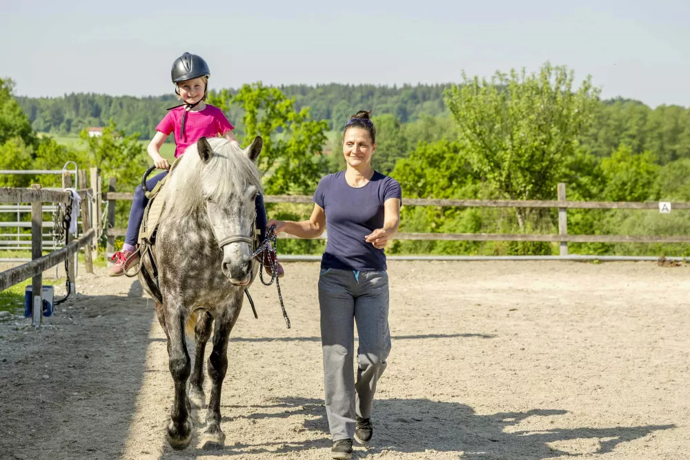 Pferde und Ponys streicheln, füttern, reiten