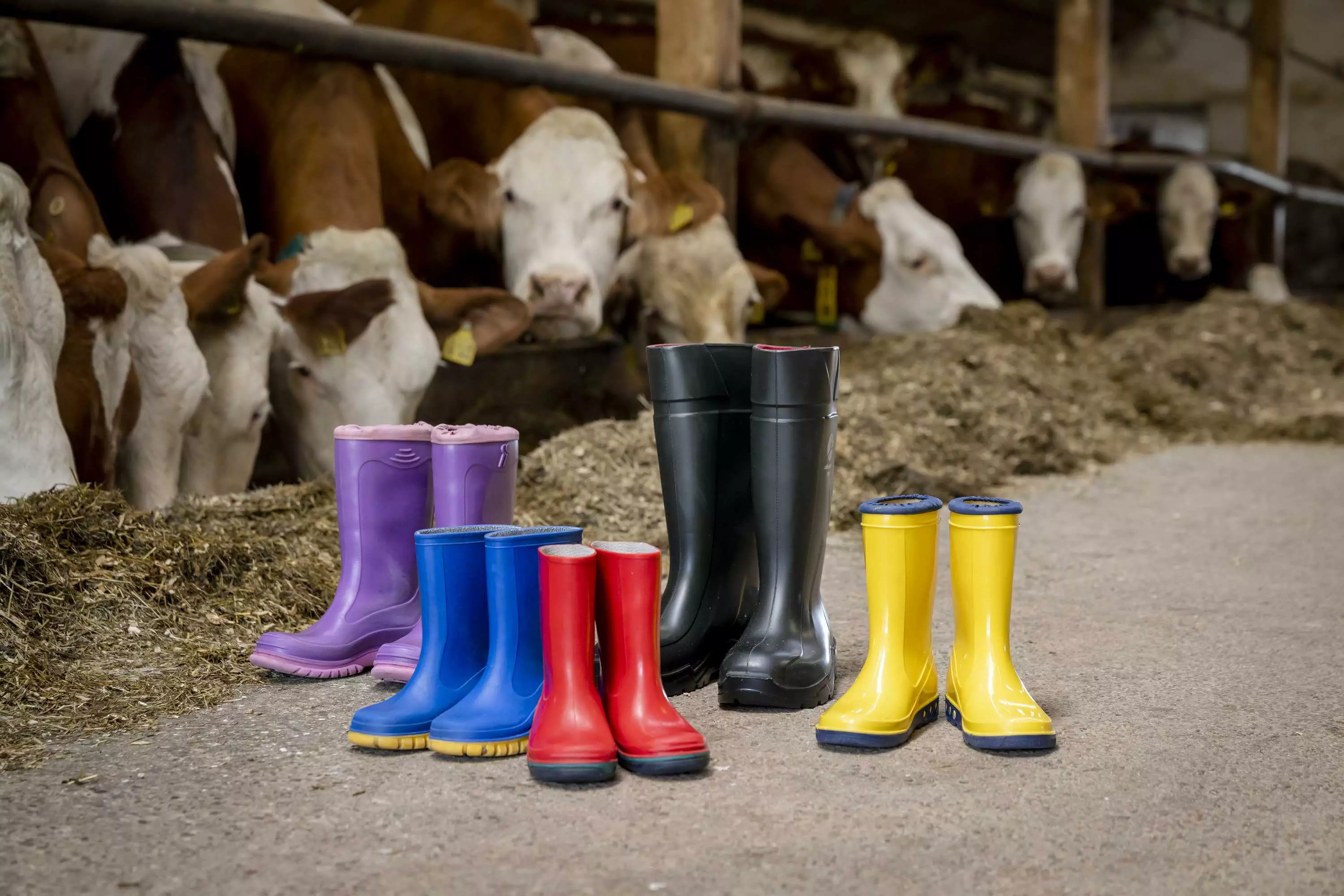 Spinde für alle Ferienwohnungen mit Gummistiefeln