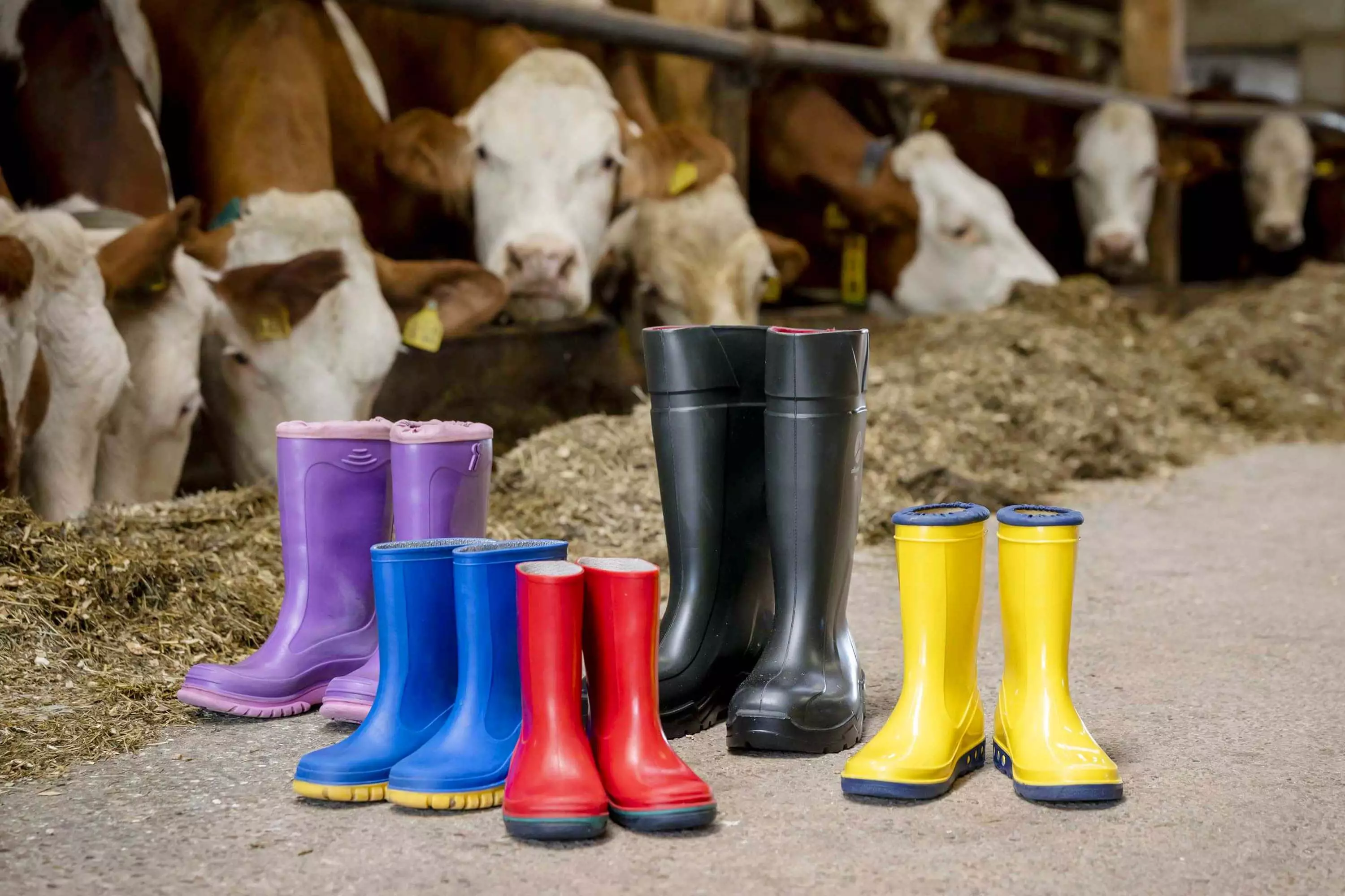 Familienurlaub Thomahof Fridolfing