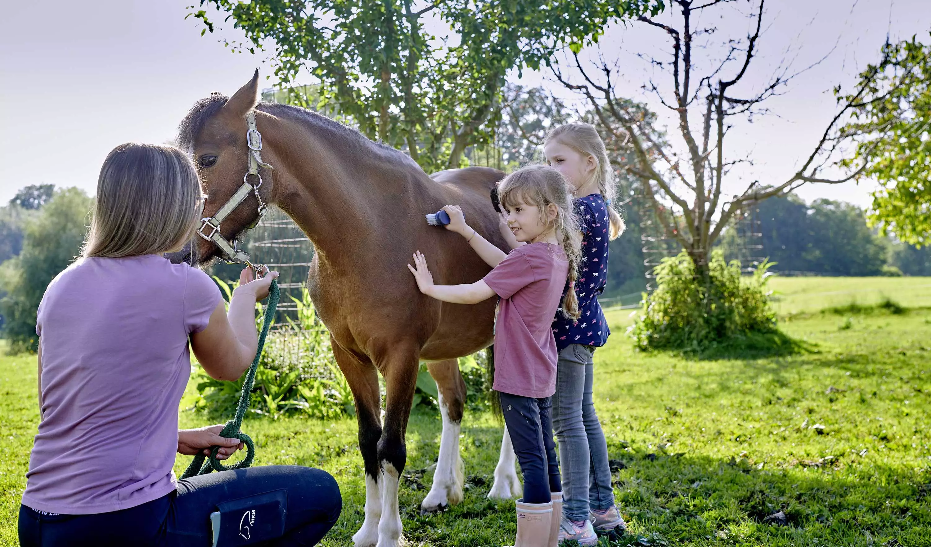 Geführtes Ponyreiten für kleine Pferdefans