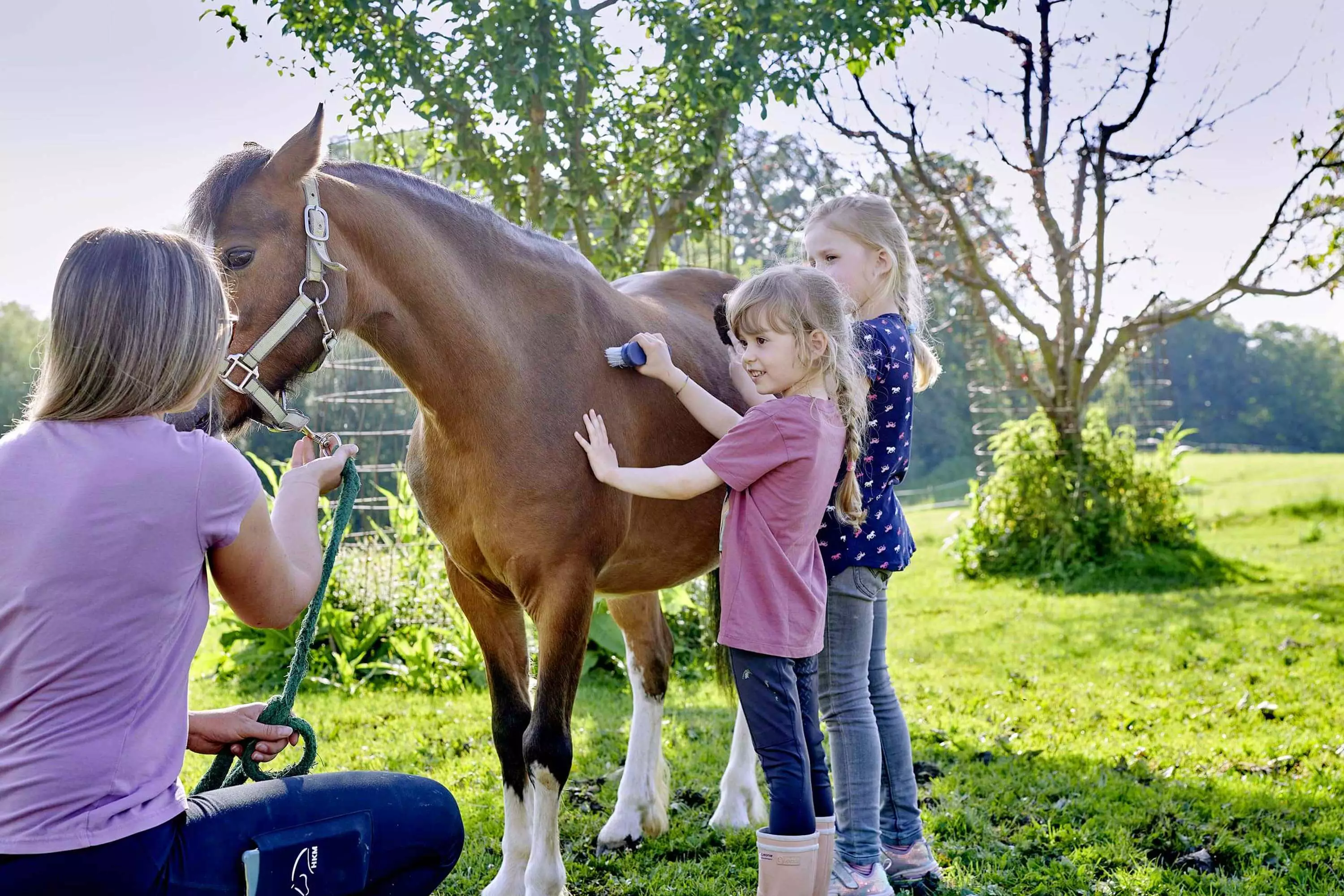Geführtes Ponyreiten für kleine Pferdefans