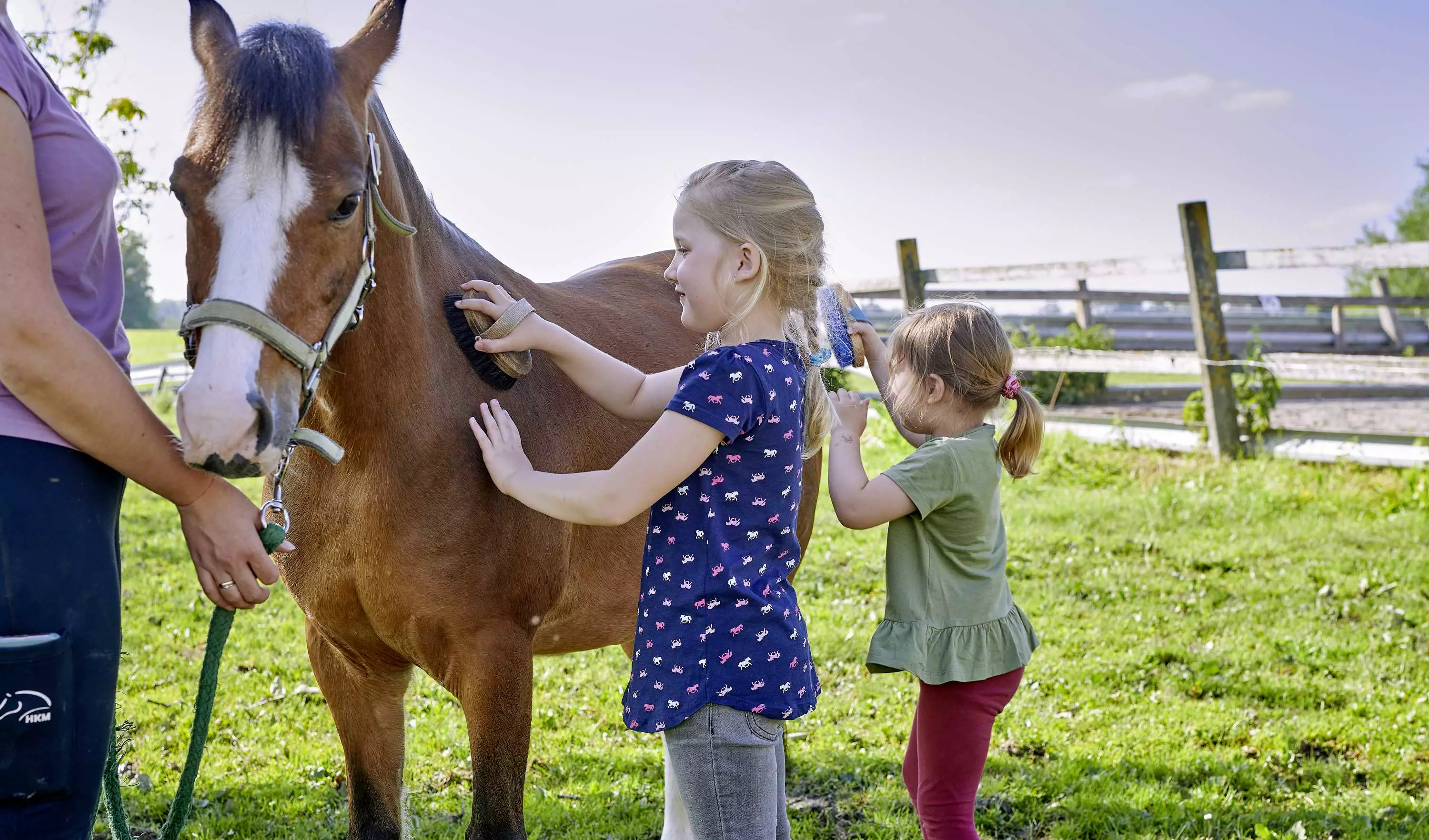 Reitunterricht am Thomahof