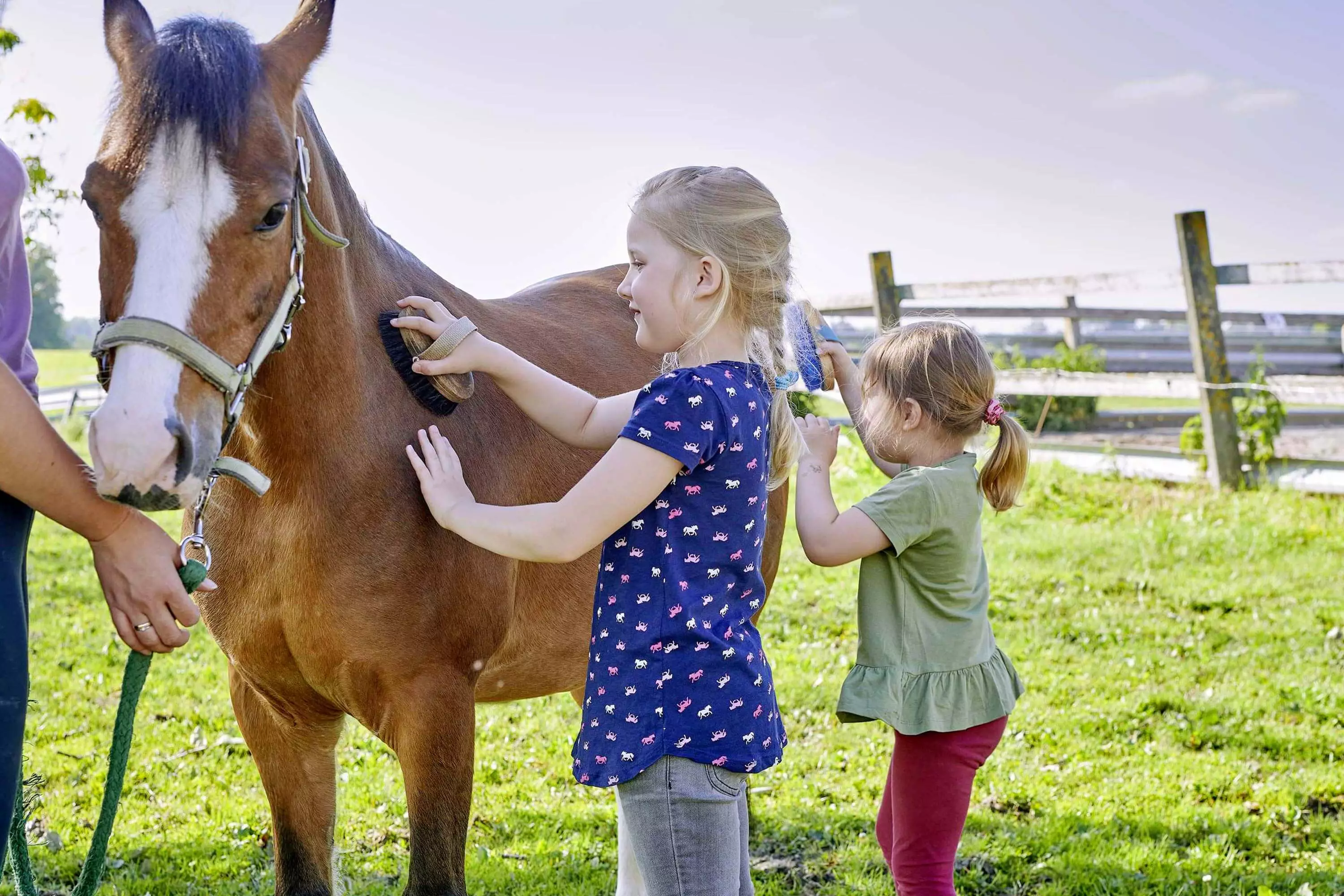 Reitunterricht am Thomahof