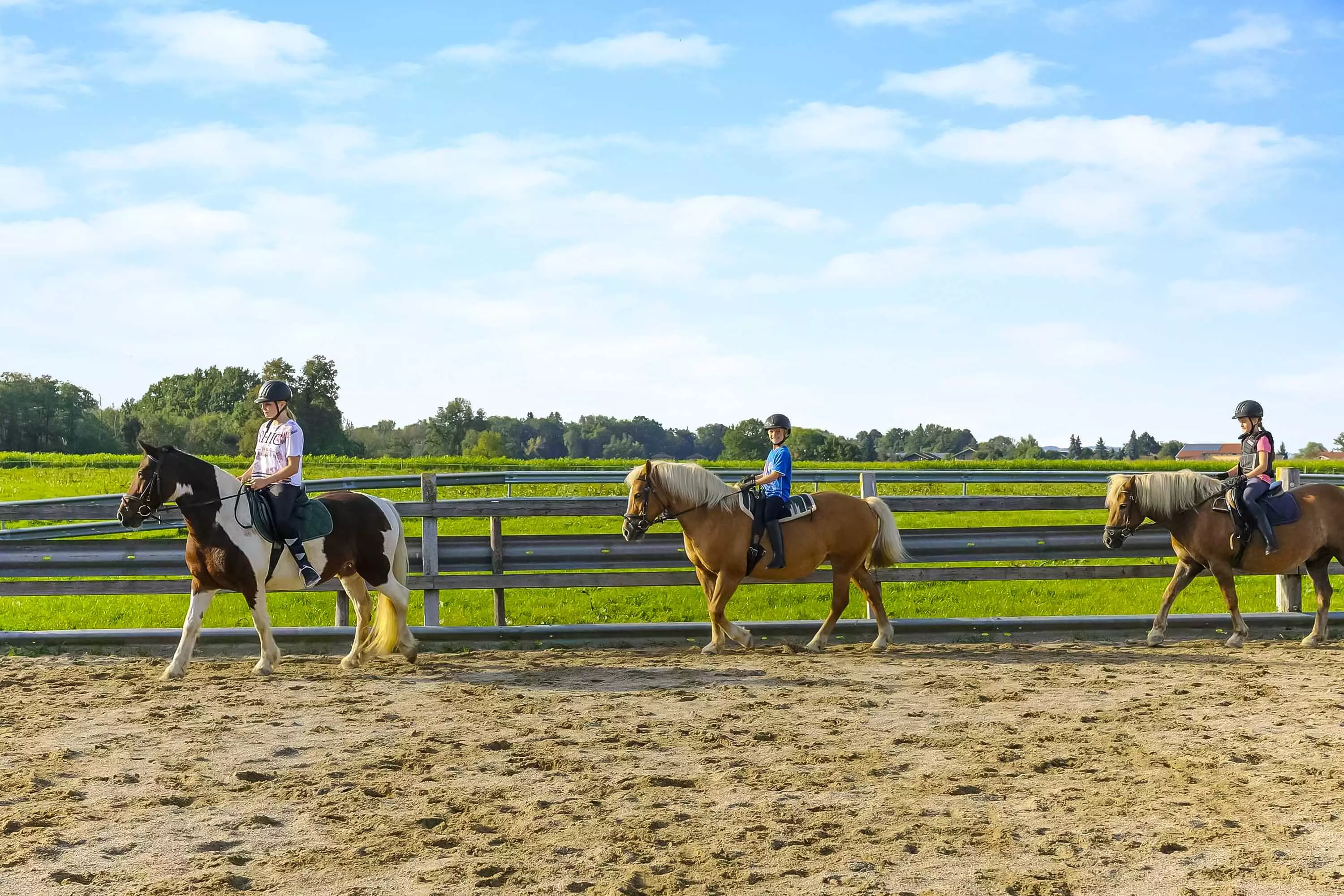 Reitplatz Training Reitstunden buchen