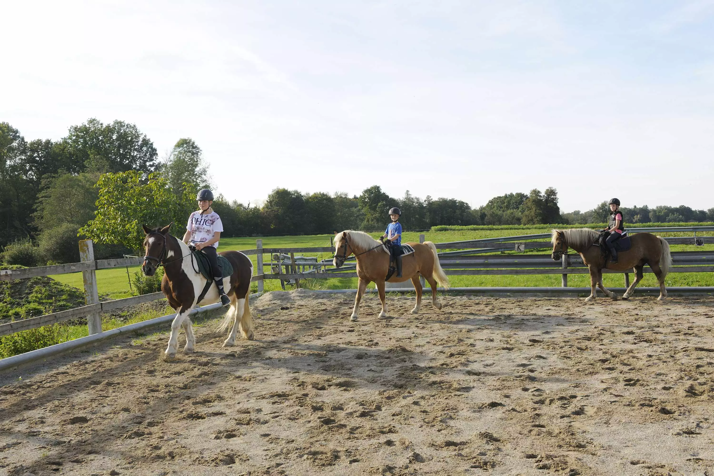 Tiererlebnisse mit den Bauernhoftieren