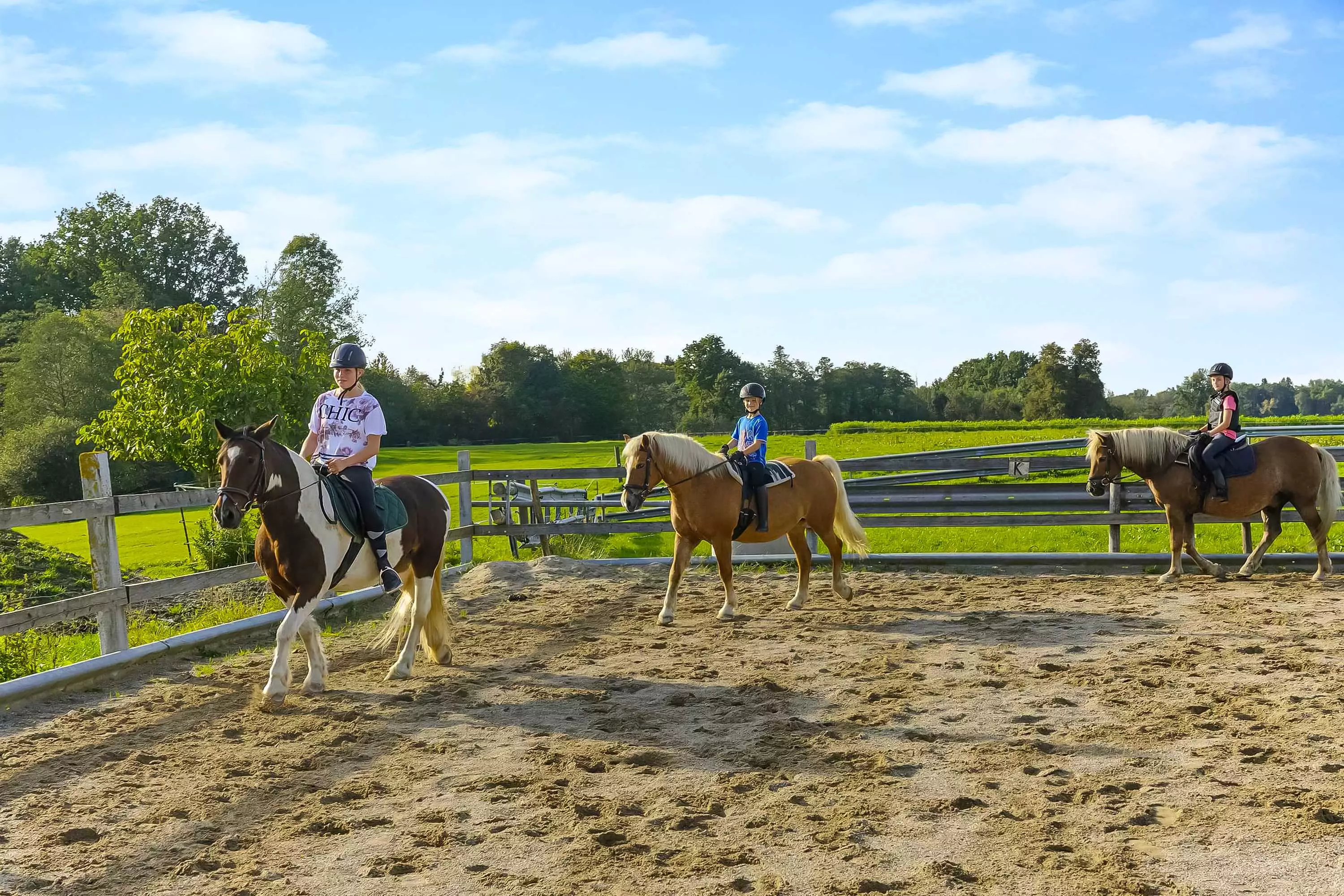 Tiererlebnisse mit den Bauernhoftieren