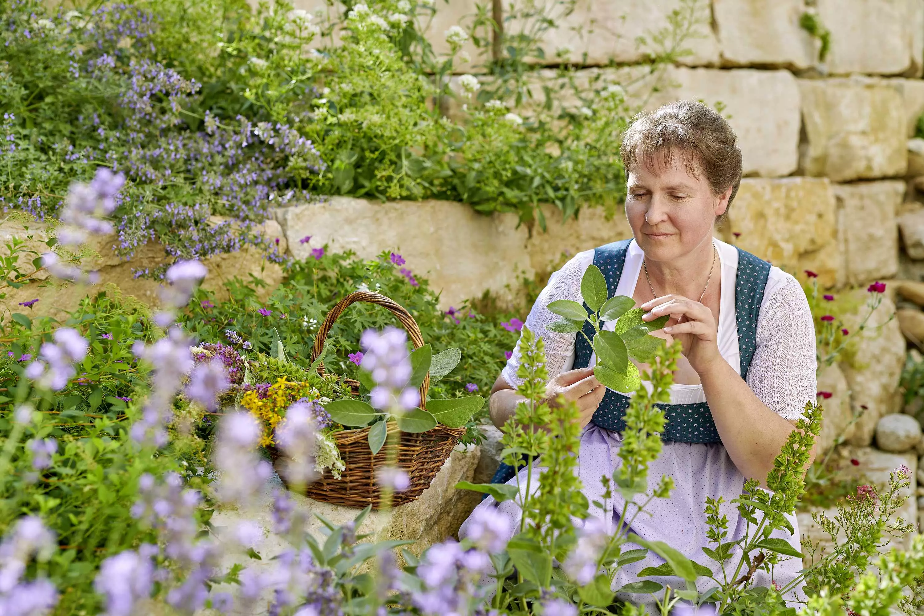 Kräuterwanderung am Thomahof Fridolfing
