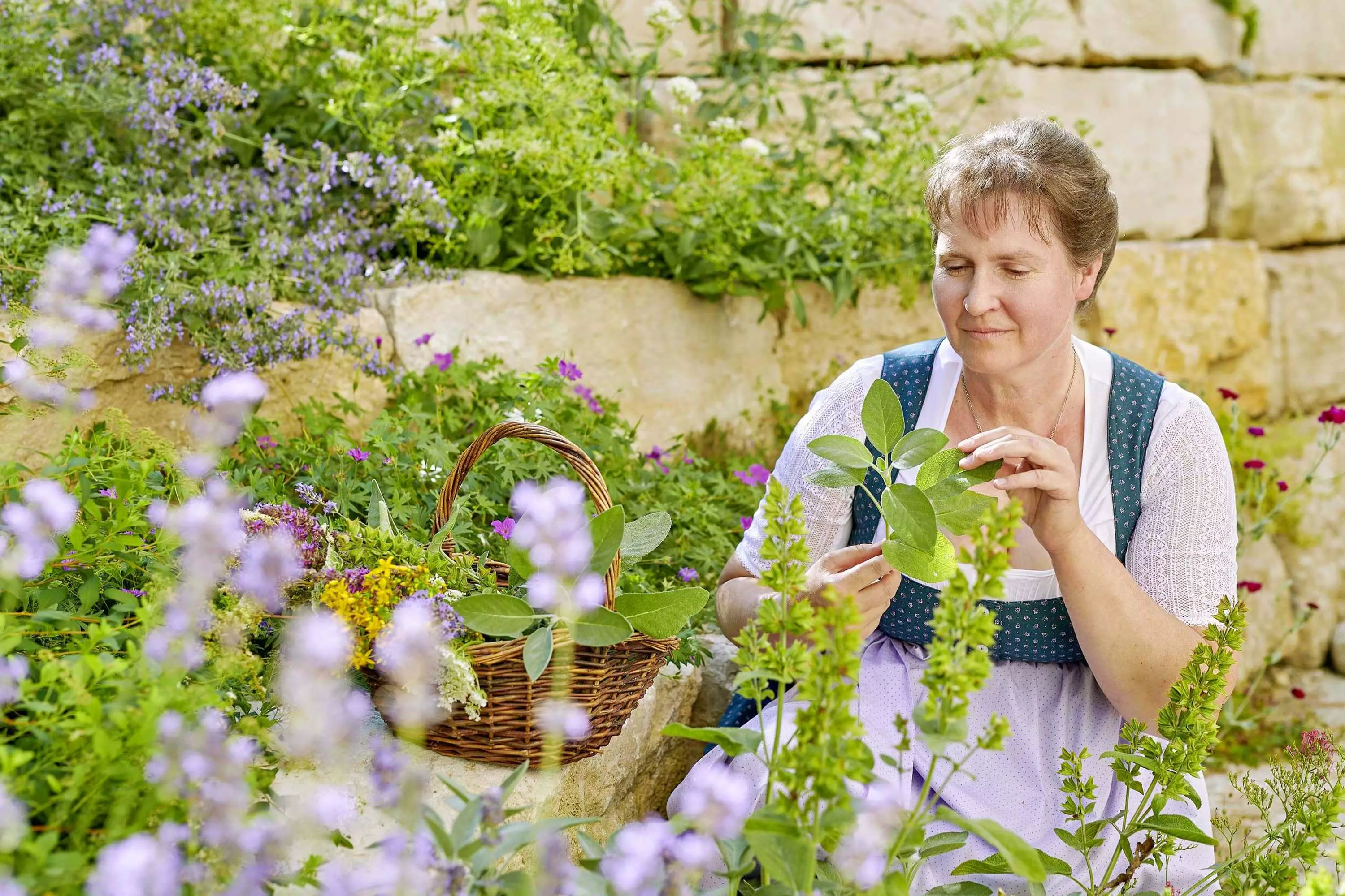 Kräuterwanderung am Thomahof Fridolfing