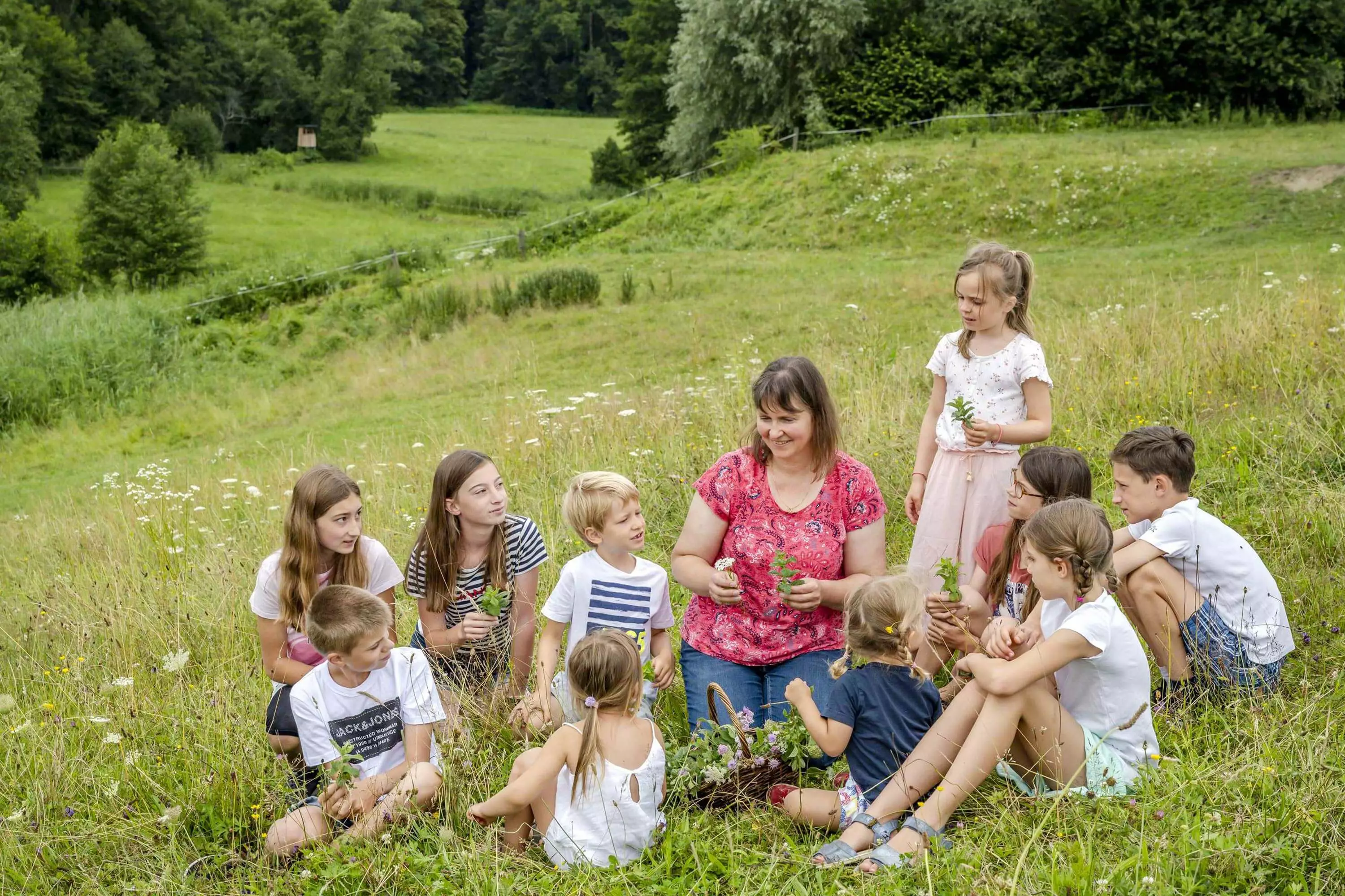 Kräuterwanderung über die Wiesen