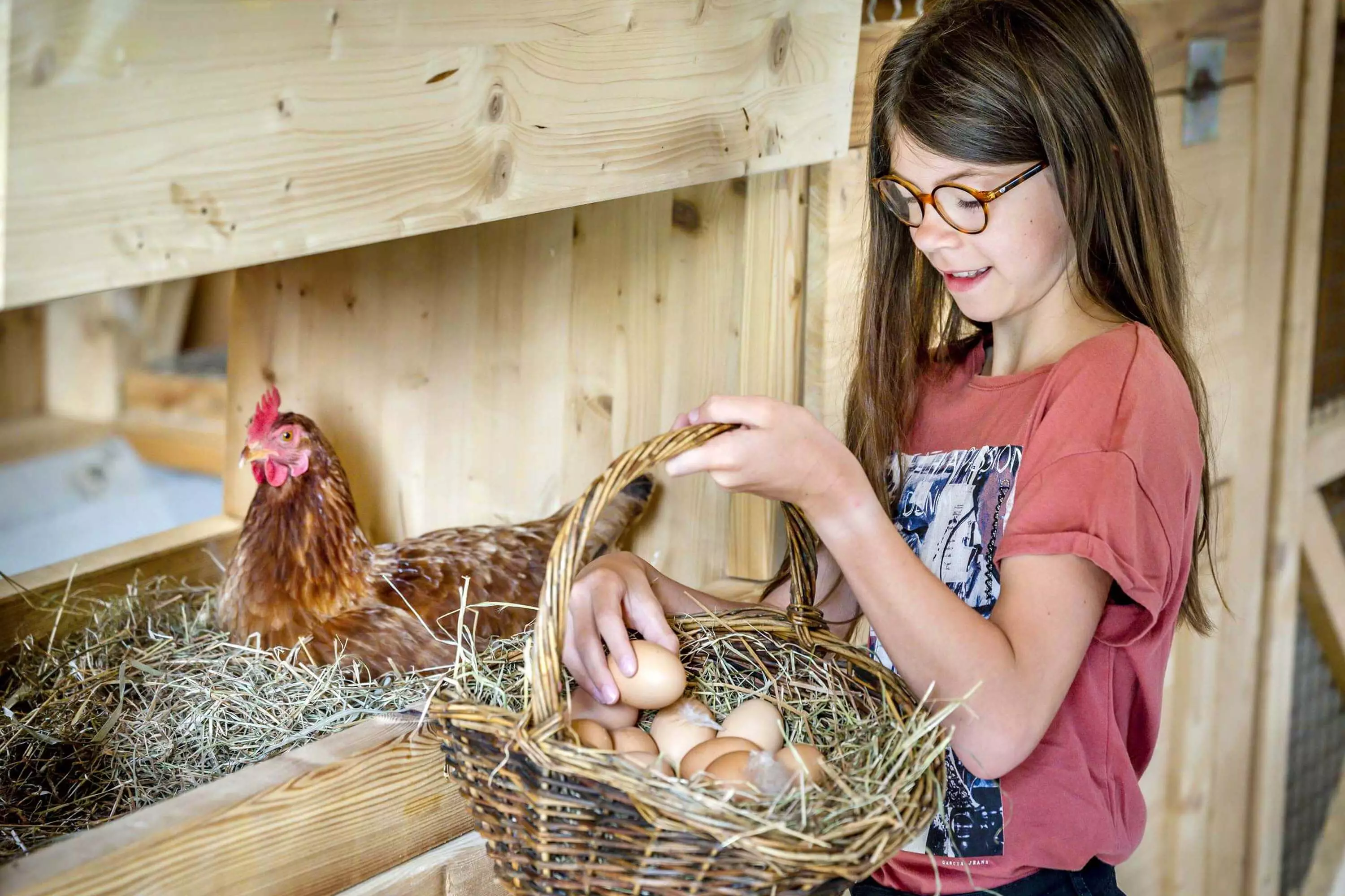 Tiererlebnisse und Abenteuer für Kinder am Thomahof