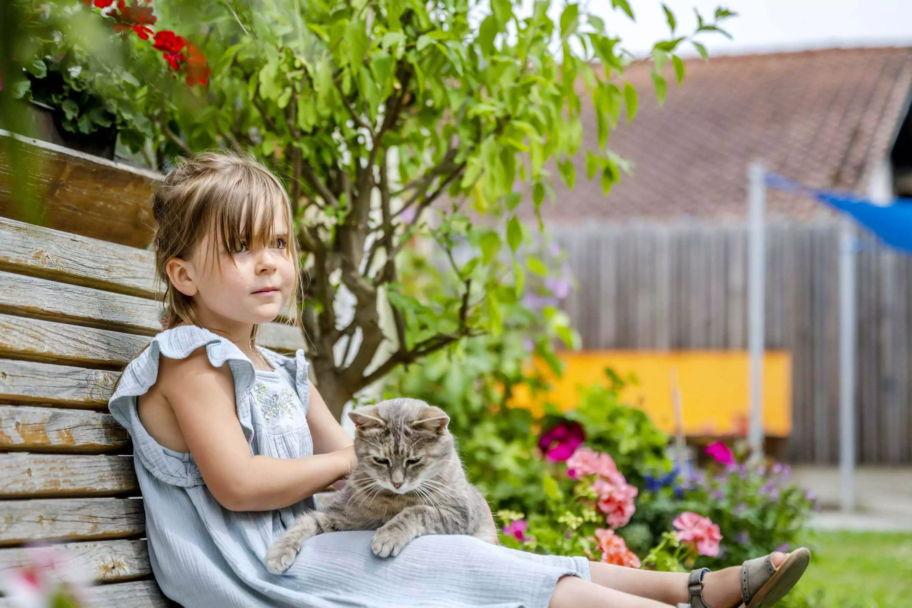 Unbeschwert spielen auf dem Bauernhof