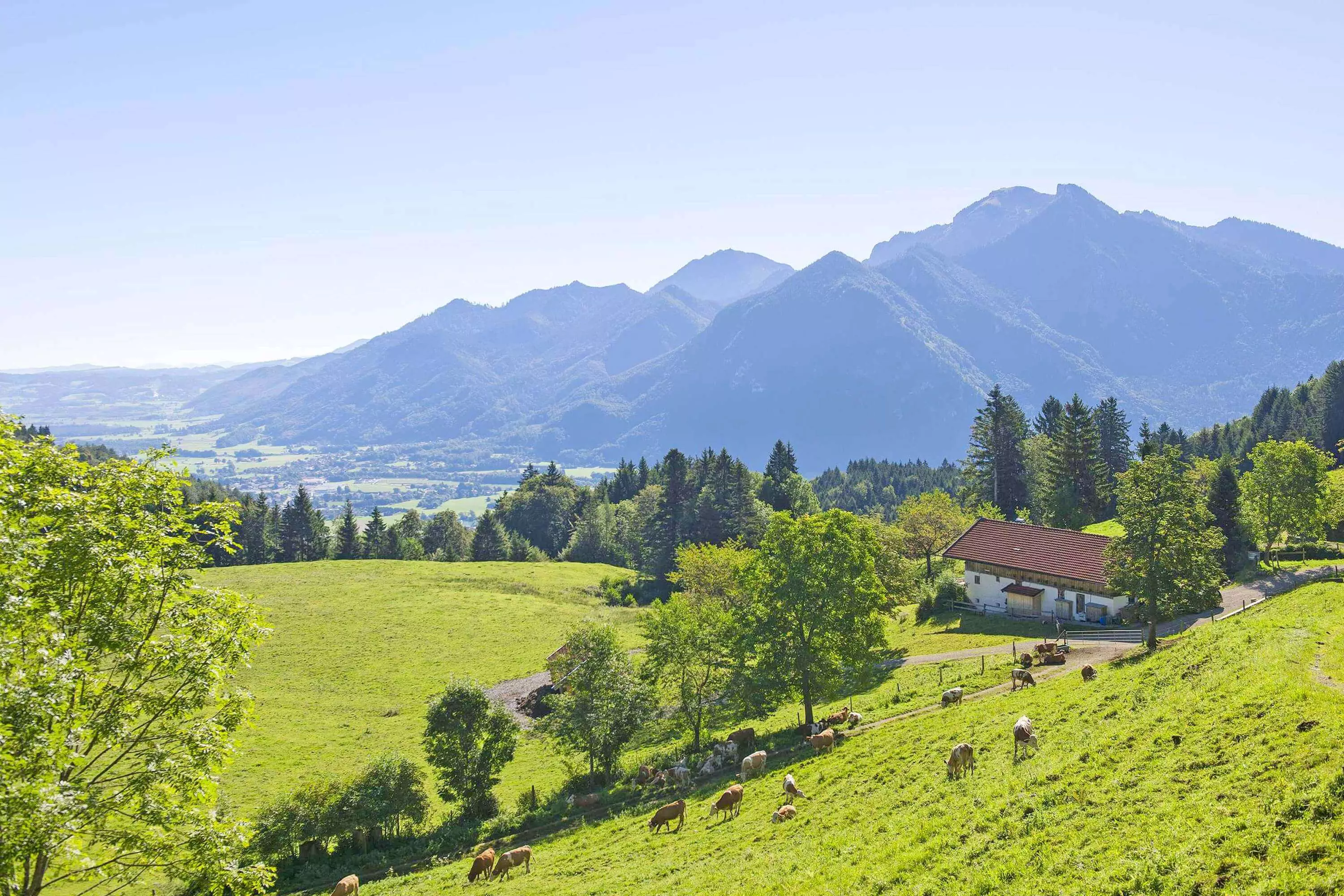 Familienwanderung mit Einkehr auf der Alm
