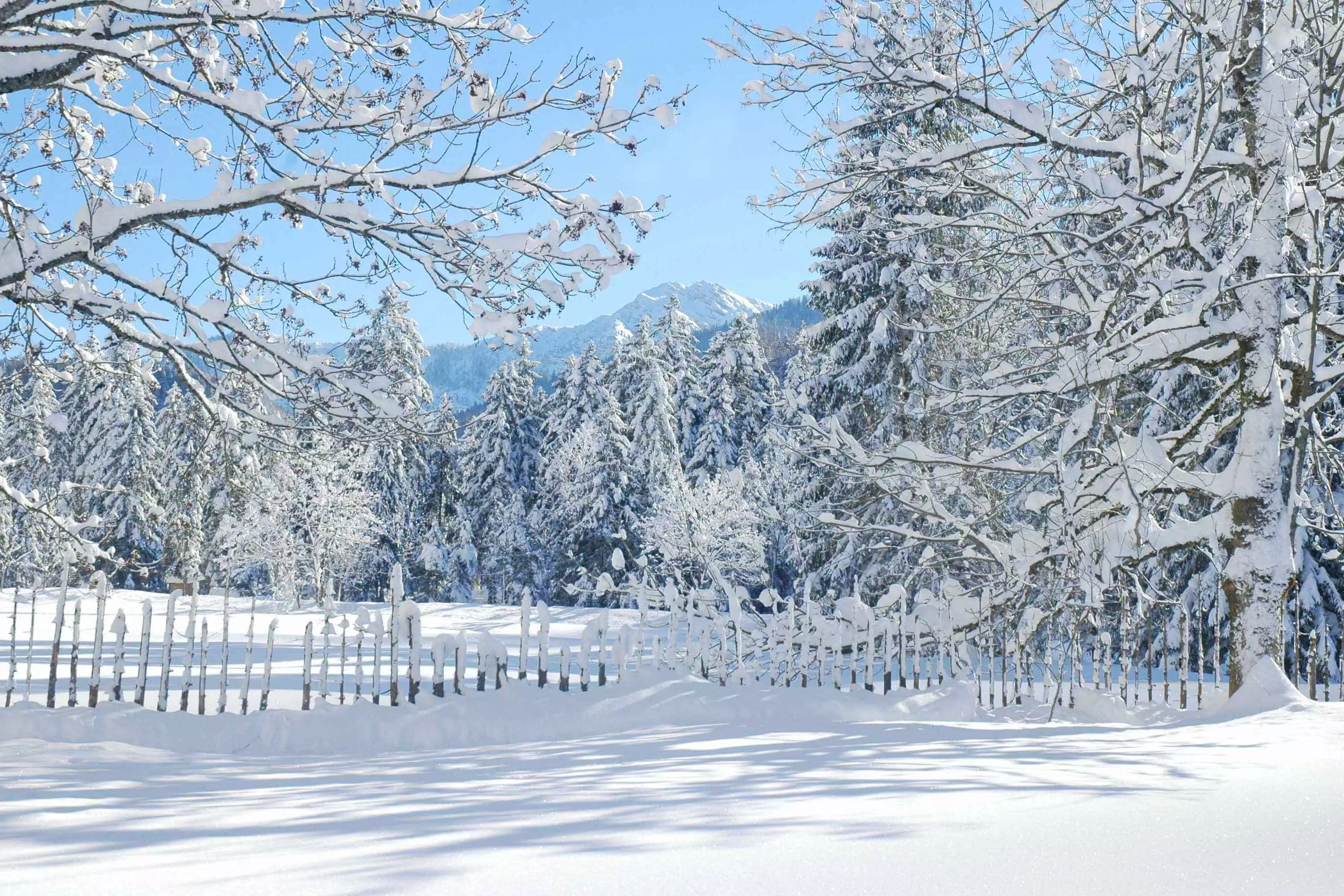 Zauberhafte Winterlandschaft in Oberbayern