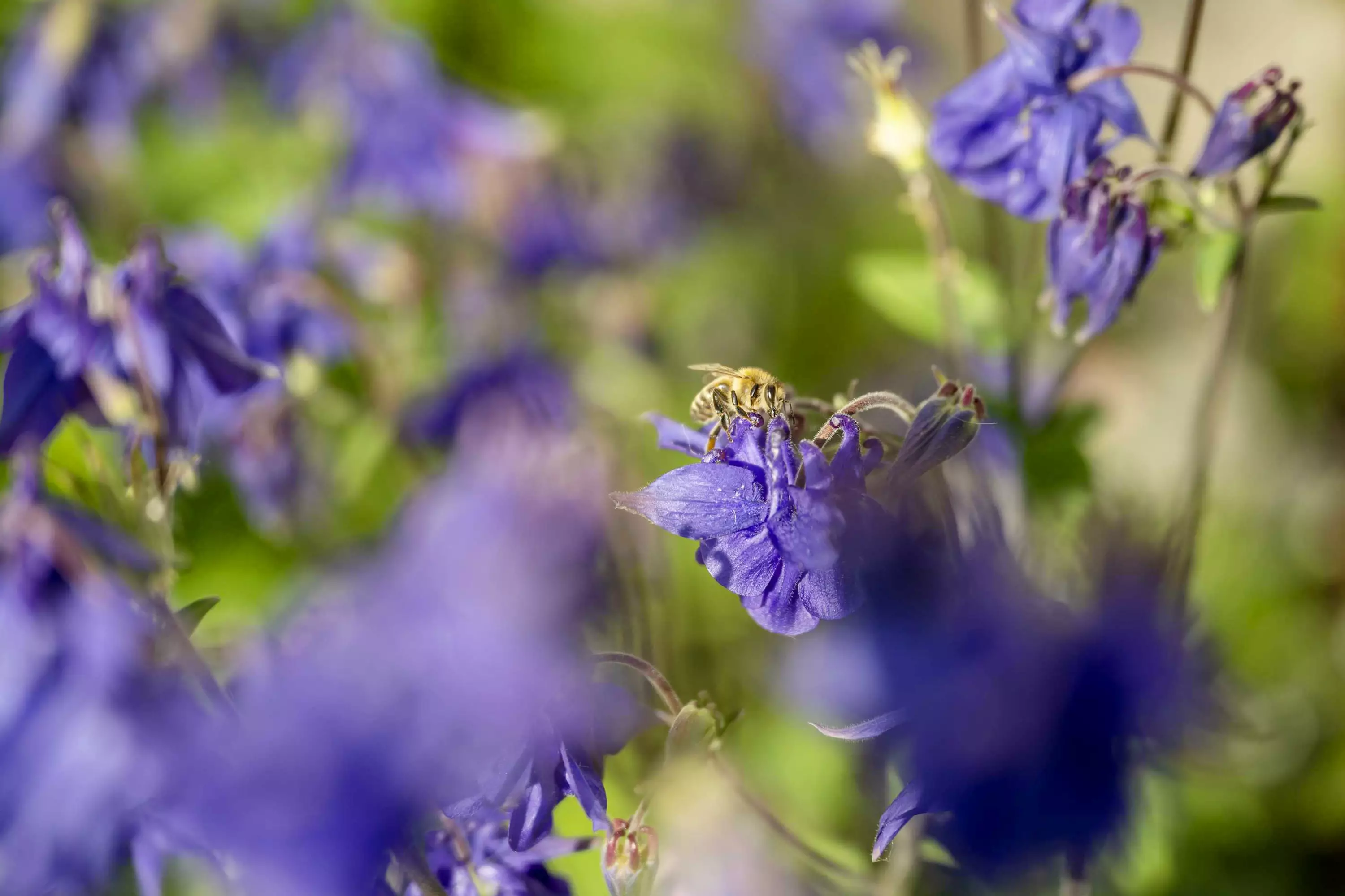 Nachhaltigkeit am Ferienbauernhof