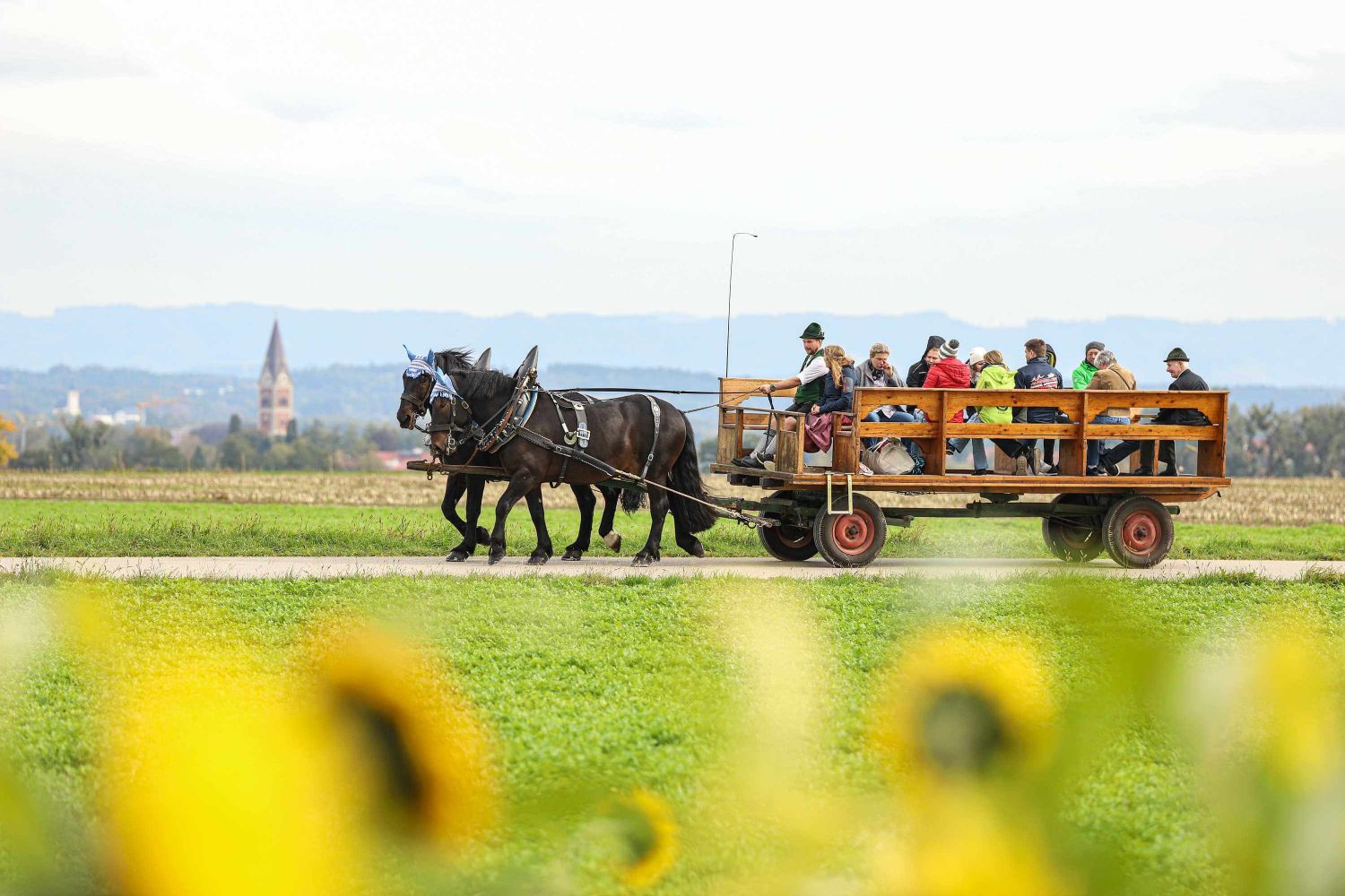 Kutschfahrt ins Grüne Bauernhofurlaub Oberbayern Thomahof