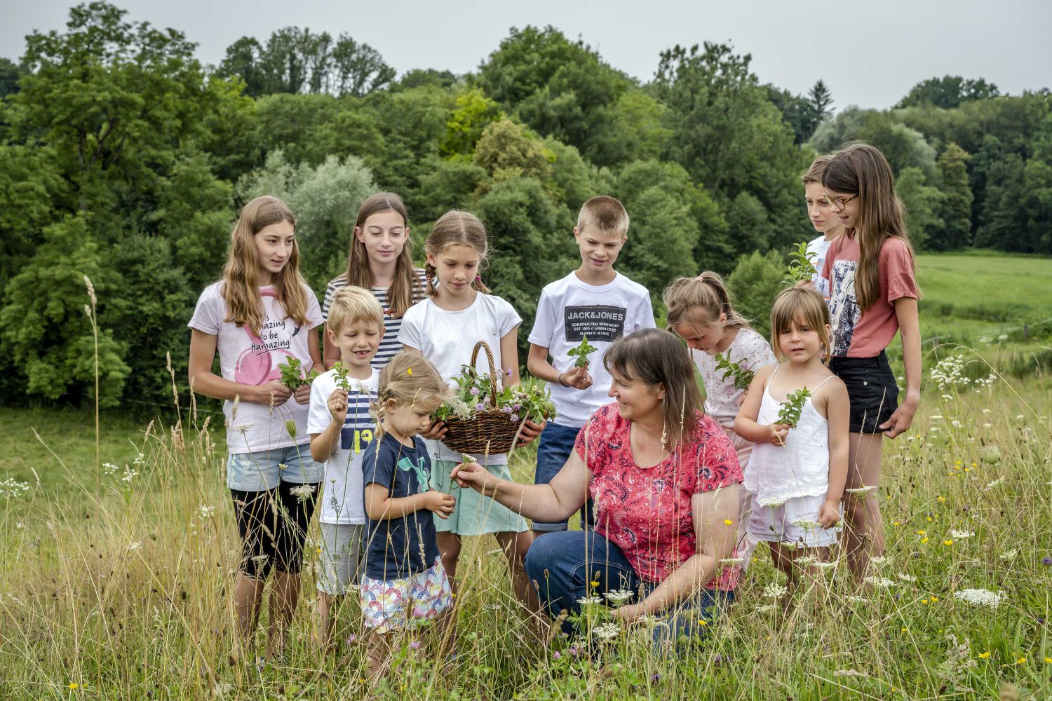 Kräuter und Wildblumen kennen lernen Naturnahes Arbeit in der Landwirtschaft