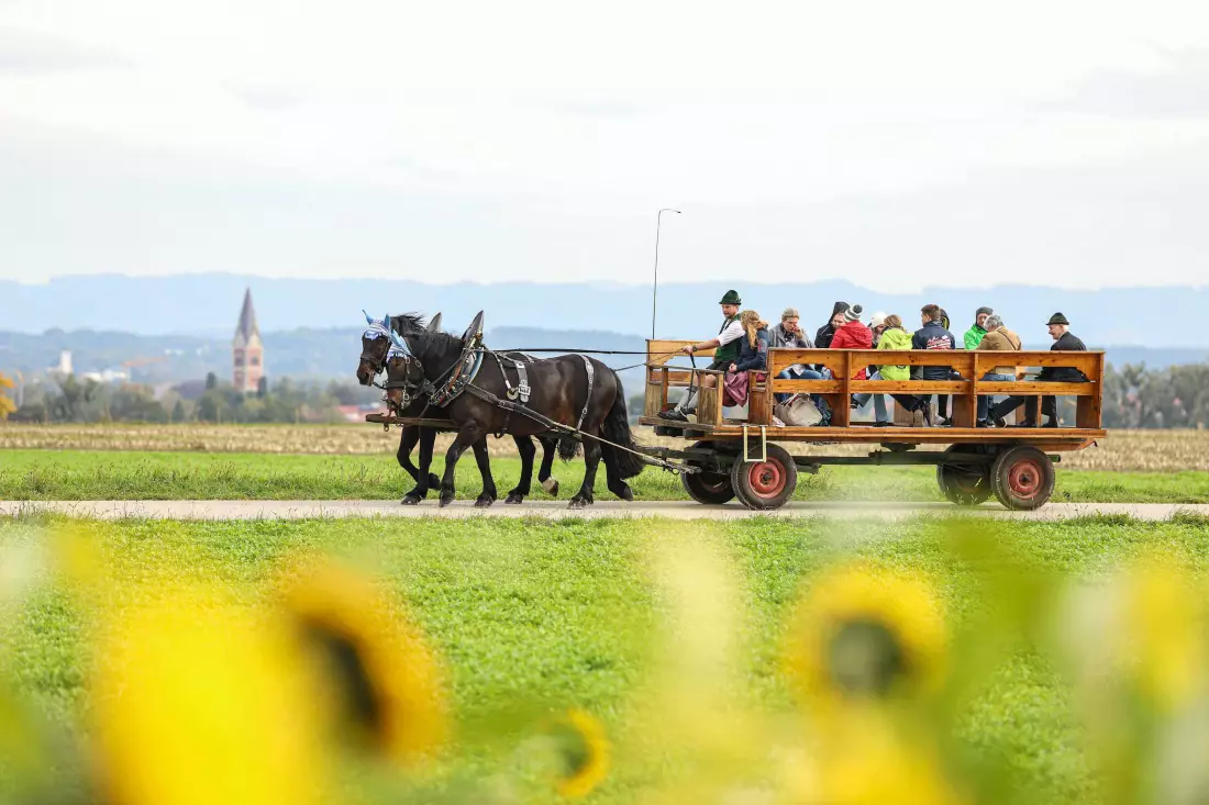 Thomahof Urlaub auf dem Bauernhof