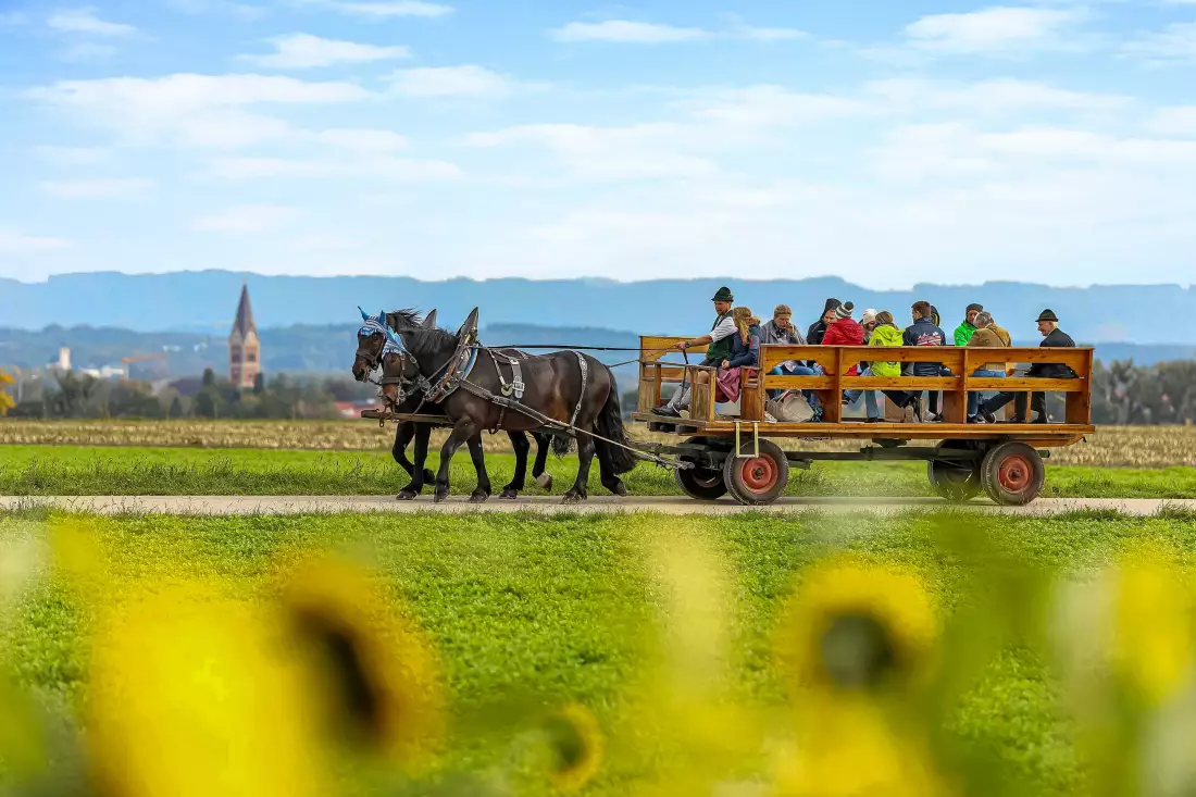 Thomahof Urlaub auf dem Bauernhof