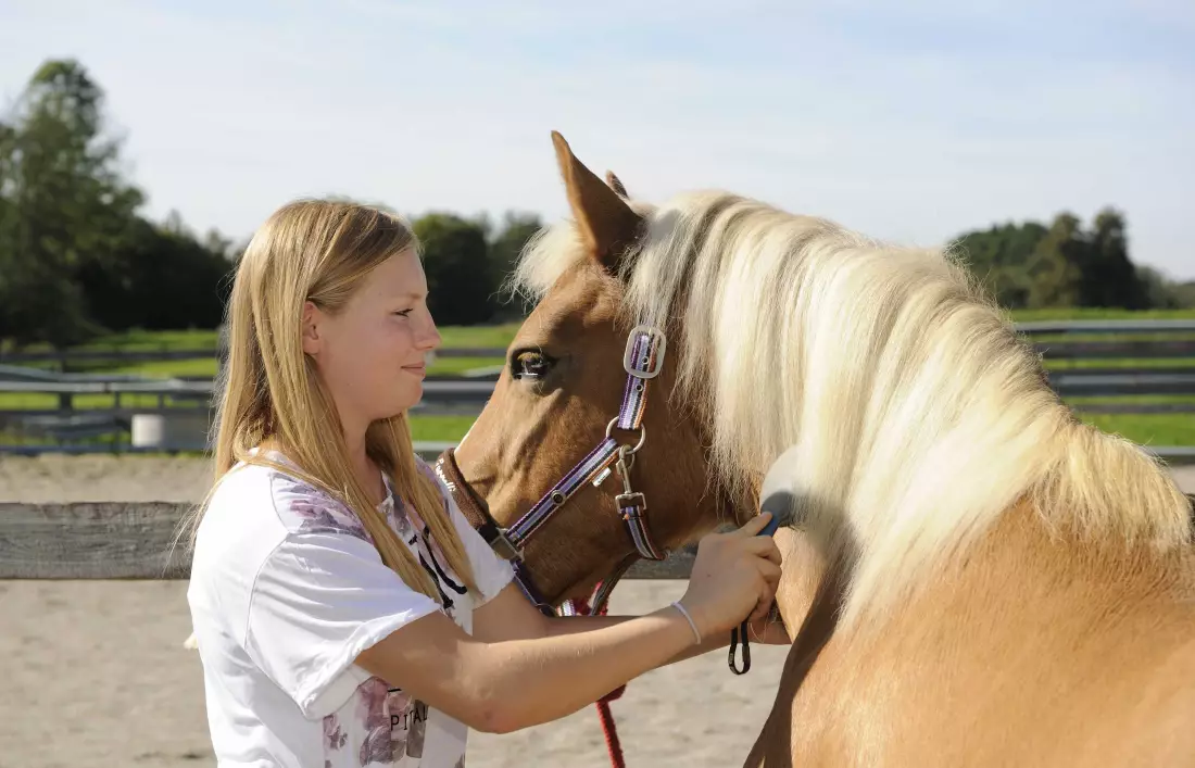 Thomahof Urlaub auf dem Bauernhof